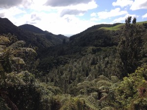 Tolaga Bay-The Mount-Cooks Beach-029